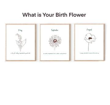 Line Draw Birth Flower