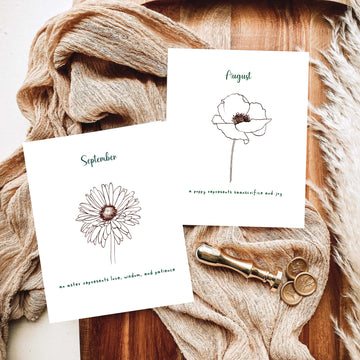 Line Drawn Birth Flower