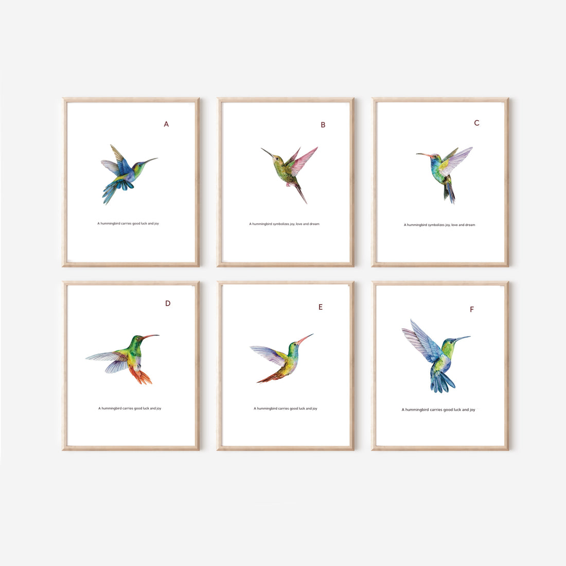 Hummingbird