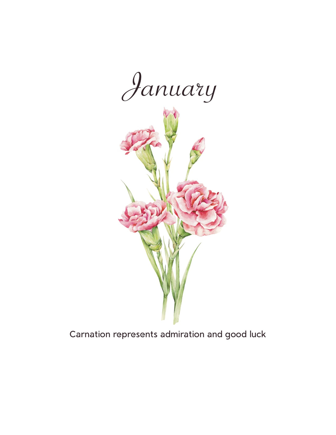 Watercolor Birth Flower