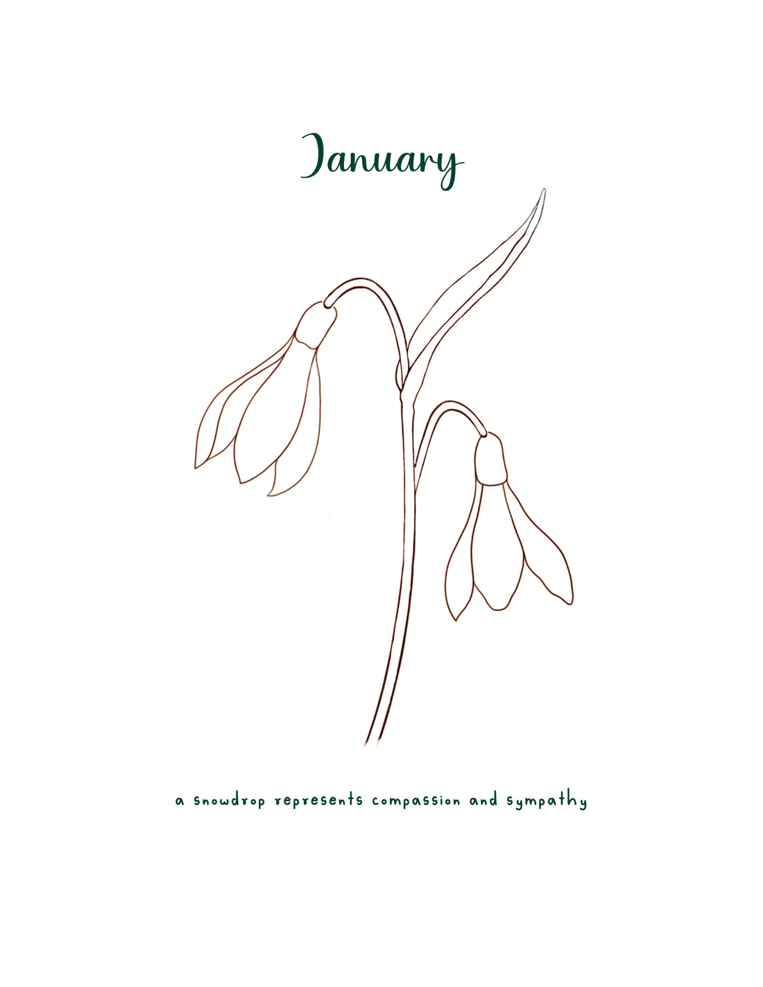 Line Drawn Birth Flower