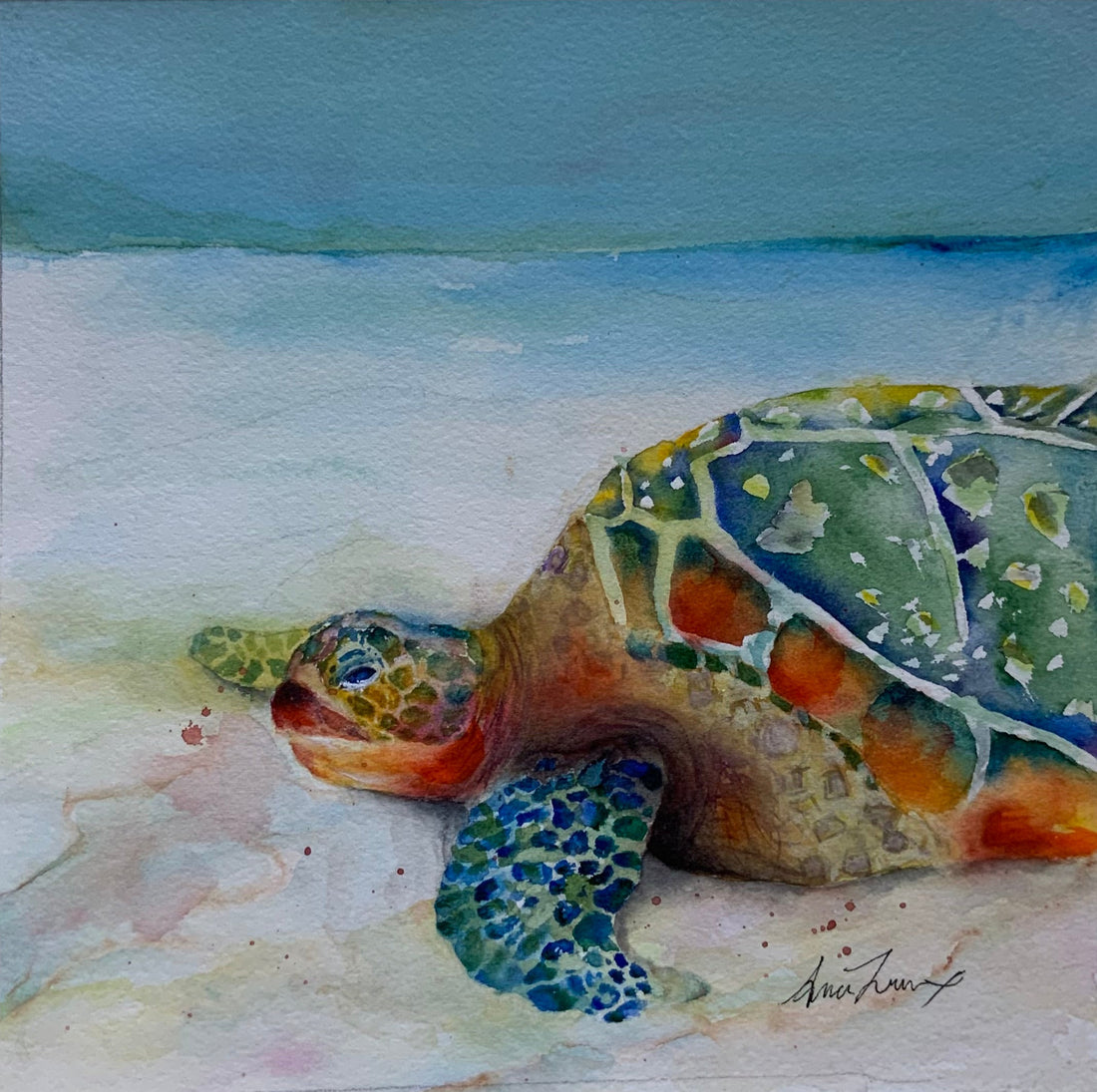 Original Turtle