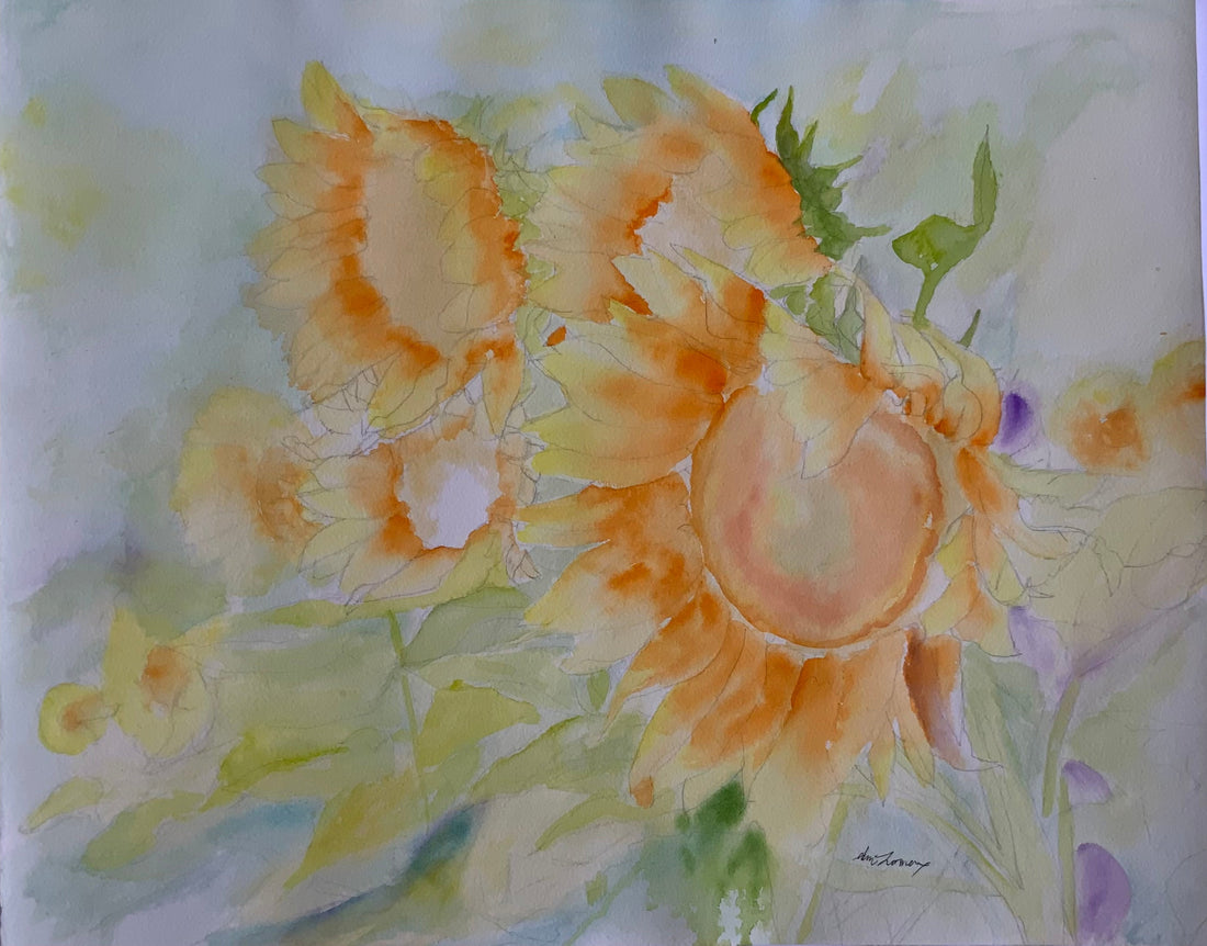 Original Sunflower Field