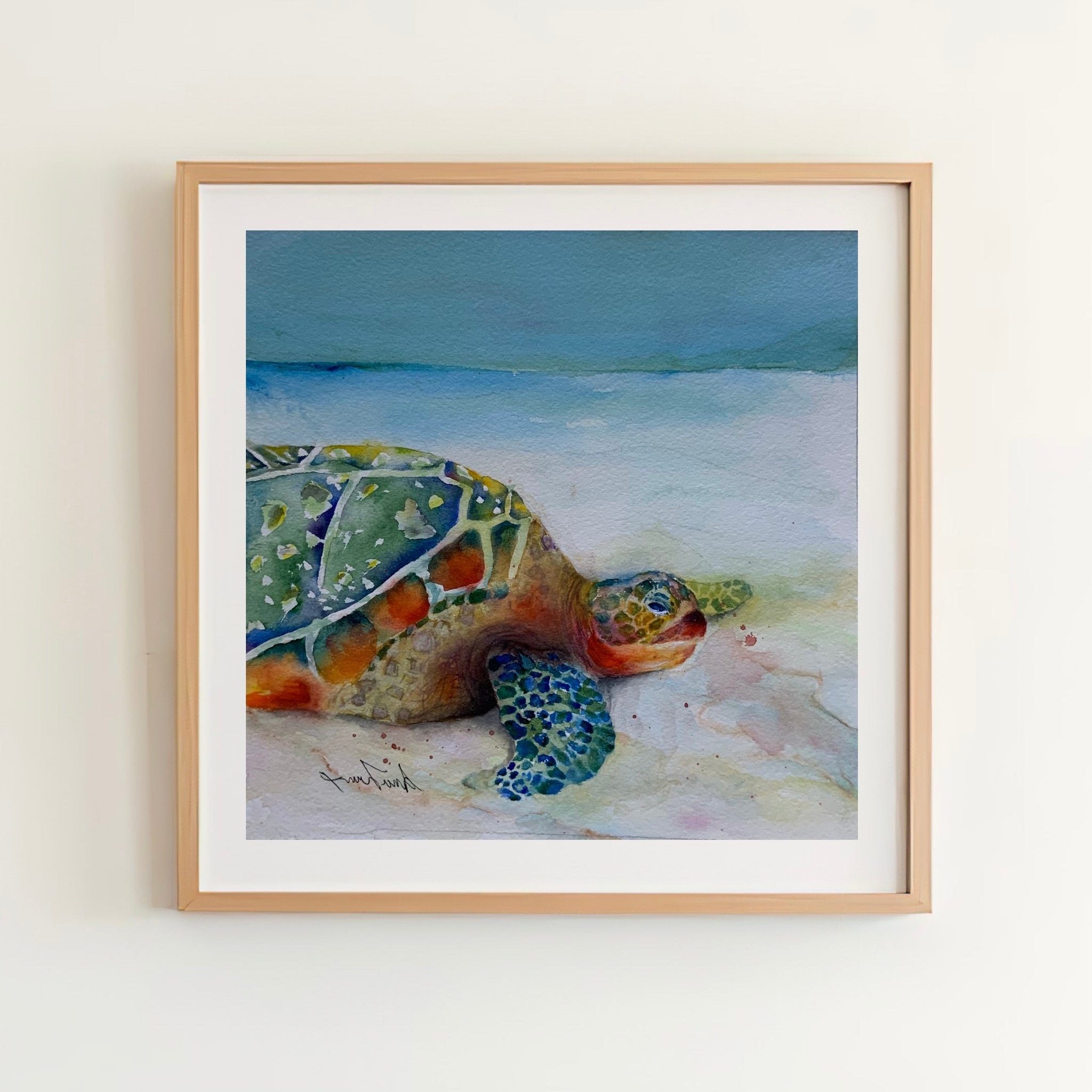 Original Turtle